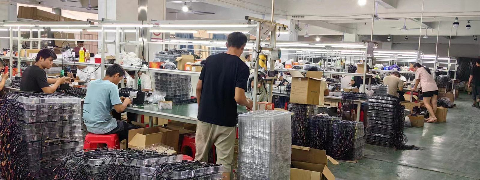 Guangzhou Baobao Lighting Co., Ltd. linia produkcyjna producenta